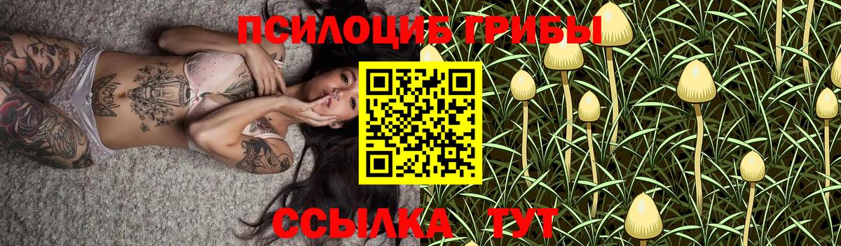Зима  Псилоцибиновые грибы мицелий  Вход с VPN  Псилоцибиновые грибы прущие грибы 