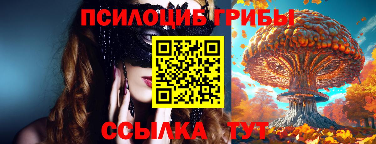 Галлюциногенные грибы MAGIC MUSHROOMS Зима